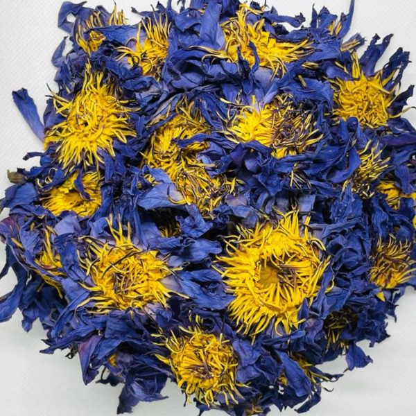 dried blue lotus flower