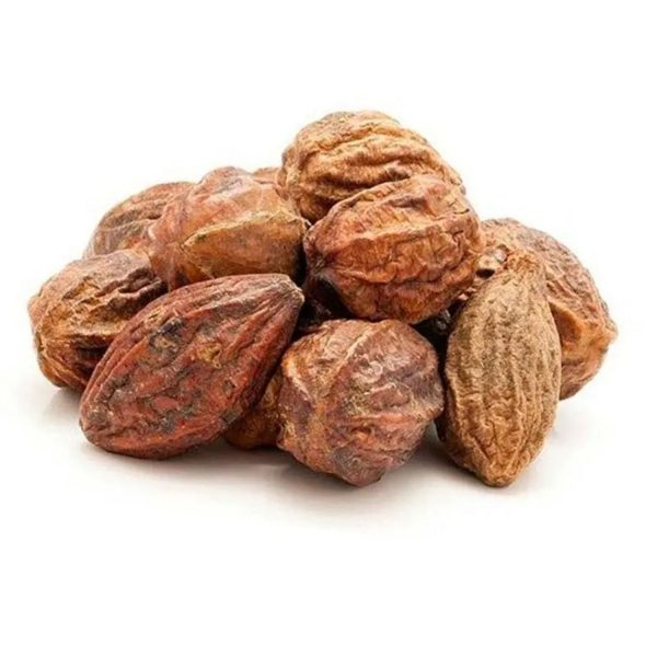 dried haritaki seeds